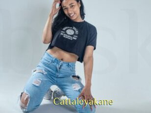 Cattaleyakane