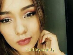 Cattleyacandy