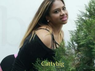 Cattybig