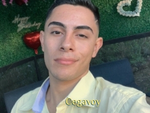 Cegavoy