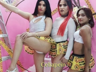 celiapein Brutal Spankings