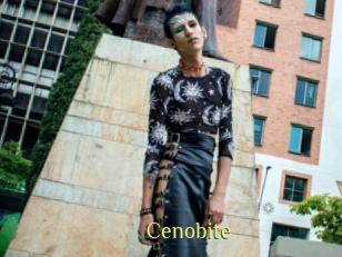 cenobite Brutal Spankings