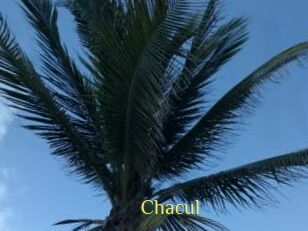 Chacul