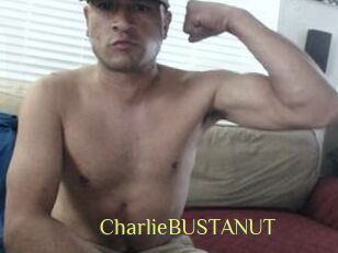 CharlieBUSTANUT