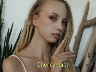 cherrynorth Brutal Spankings