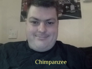 Chimpanzee