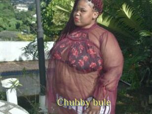 Chubby_bule