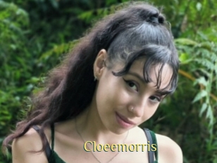 Cloeemorris