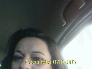 Coccinella-07105003