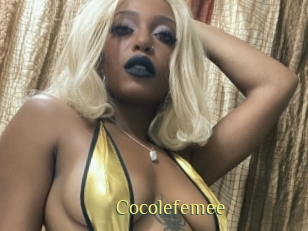 cocolefemee Brutal Spankings