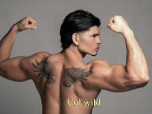 col_wild Brutal Spankings