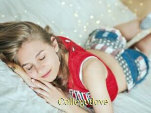 Collegedove