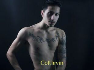 Coltlevin