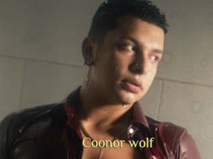 Coonor_wolf
