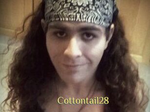 Cottontail28