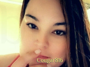 Cougar816