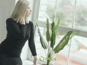 Crocus