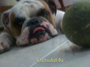 Cumalot4u