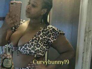 Curvybunny19