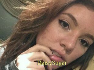 Daisy_Sugar