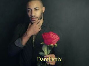 DamFenix