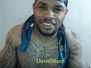 David_Maze