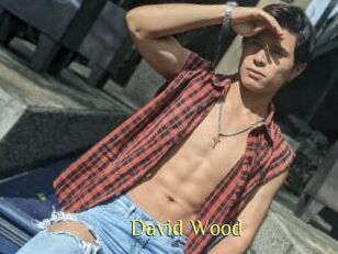 David_Wood