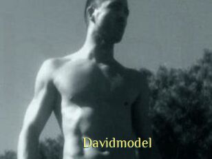 Davidmodel