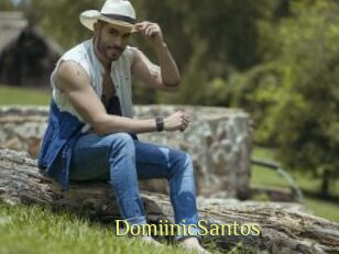 DomiinicSantos