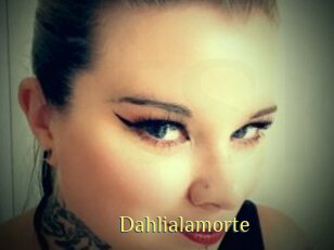 Dahlialamorte