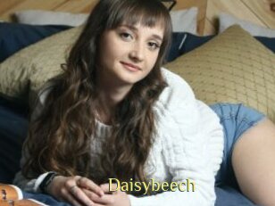 Daisybeech