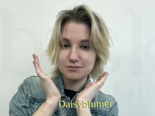 Daisyblumer