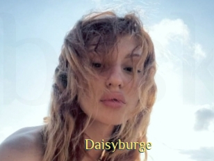 Daisyburge