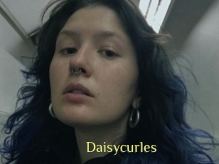 Daisycurles