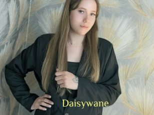 Daisywane