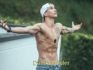 Damianmiuler