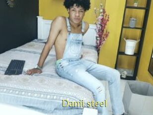 Danii_steel