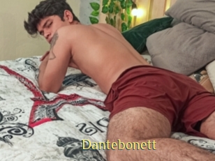 dantebonett Brutal Spankings