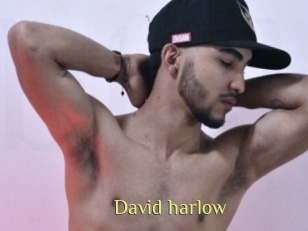 David_harlow