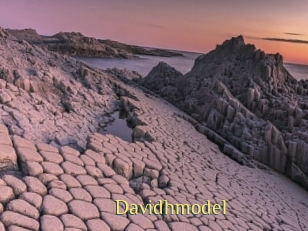Davidhmodel