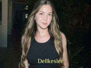 Dellkesler