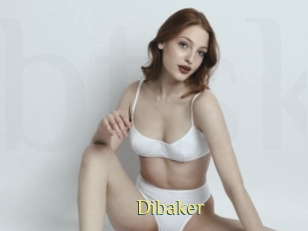 Dibaker