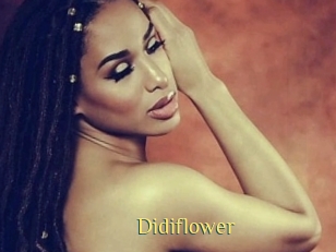 Didiflower
