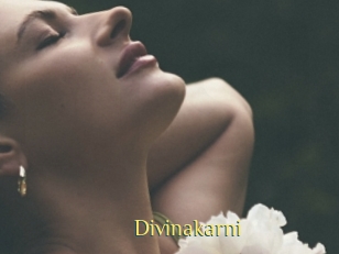 Divinakarni