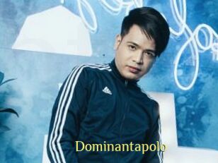 Dominantapolo