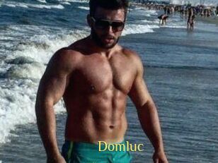 Domluc