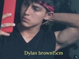 Dylan_brown15cm
