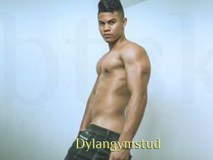 Dylangymstud