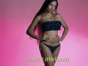 EmelyLittleBunny