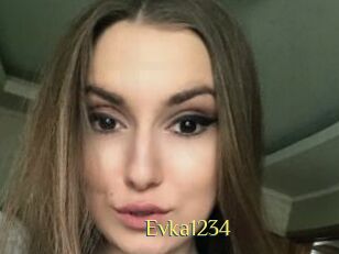 Evka1234